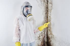 Best Emergency Mold Remediation  in Alb, IA